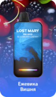 LOST MARY BM 16000 - ЕЖЕВИКА ВИШНЯ