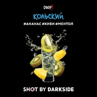 Darkside Shot - Кольский Краш (Ананас Киви Ментол) 120гр