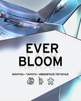 DUFT PHEROMONE - EVER BLOOM (Марула, Тархун, Имбирное Печенье) 25гр