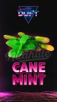 DUFT - CANE MINT (Тростниковая мята) 100гр