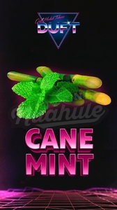 DUFT - CANE MINT (Тростниковая мята) 100гр