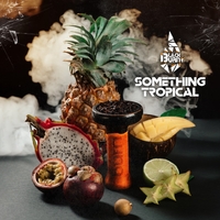 Black Burn - Something Tropical (Что-то тропическое) 25 гр