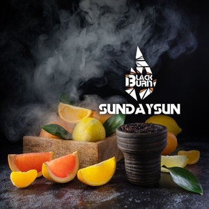 Black Burn - Sundaysun (Цитрусовый микс) 25 гр