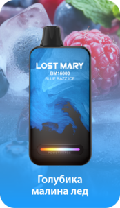 LOST MARY BM 16000 - ГОЛУБИКА МАЛИНА ЛЕД