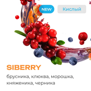 Element Water (Вода) - SIBERRY ( БРУСНИКА , КЛЮКВА , МОРОШКА , КНЯЖЕНИКА , ЧЕРНИКА ) 