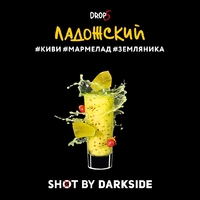 DARKSIDE SHOT - Ладожский Вайб (Киви Мармелад Земляника) 120гр