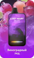 LOST MARY BM 16000 - ВИНОГРАДНЫЙ ЛЕД