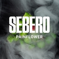 Sebero - Painflower (Кактус) 40гр