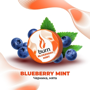 Blueberry Mint - черника , мята