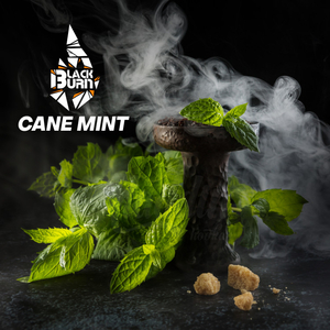 Black Burn - Cane Mint (Тростниковая мята) 25гр