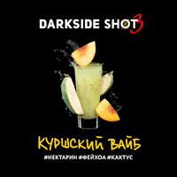 Darkside Shot - Куршский Вайб (Нектарин Фейхоа Кактус) 30гр