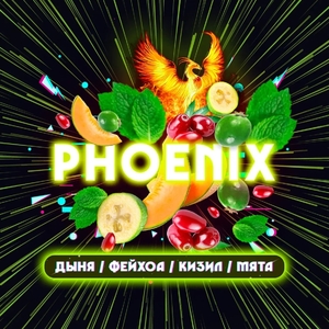 Vacuum Drop 25gr - Phoenix (Дыня Фейхоа Кизил Мята)