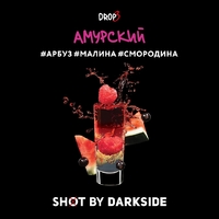 Darkside Shot - Амурский Панч (Арбуз Малина Смородина) 120гр