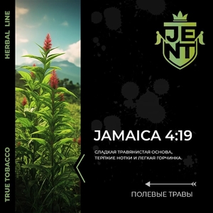 JAMAICA 4:19 - ПОЛЕВЫЕ ТРАВЫ