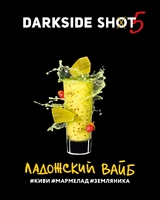 DARKSIDE SHOT - Ладожский Вайб (Киви Мармелад Земляника) 30гр