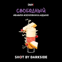 Darkside Shot - Свободный (Вафли Земляника Дыня) 30гр