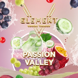 Element V - Passion Valley  (Огуречный лимонад, смородина и виноград) 25гр