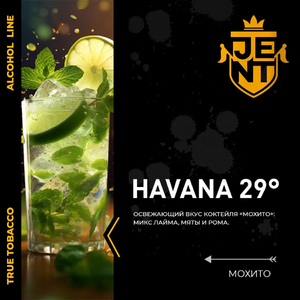 HAVANA 29 - МОХИТО