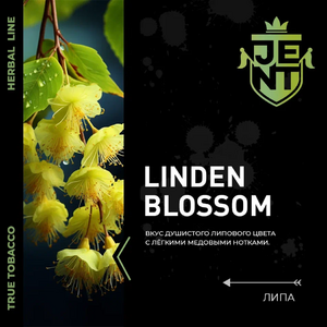 LINDEN BLOSSOM - ЛИПА