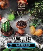 Element Water (Вода) - Cactus Fig (Кактусовый Финик)