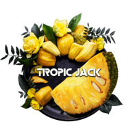 Black Burn - Tropic Jack (Джекфрут) 25гр