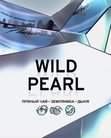 DUFT PHEROMONE - WILD PEARL (Пряный чай, Земляника, Дыня) 25гр